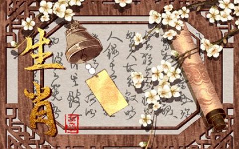 马与狗生肖配 在一起的建议和注意事项