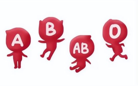 b型血人的性格特征