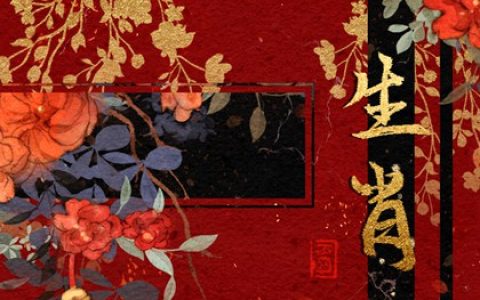 12生肖2024年正月十三打牌财运方位