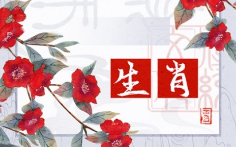 属猪的生肖婚姻配 属猪的月份属相婚配表