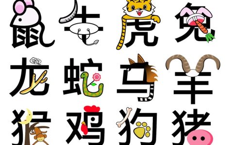 十二生肖婚配表大全最新版