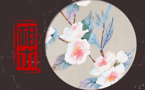 有福的面相女 有福气的女生面相特点