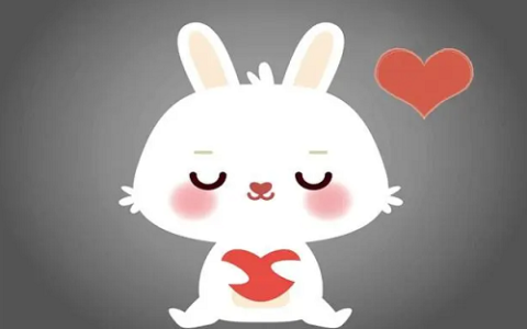 属猪和属兔的婚姻怎么样 属猪和属兔的婚姻如何