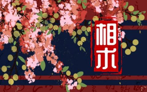 脸上不吉利的痣 迁移宫长痣
