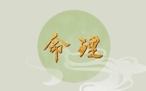 2024年出生的龙是什么命 几月出生的属龙人大富大贵