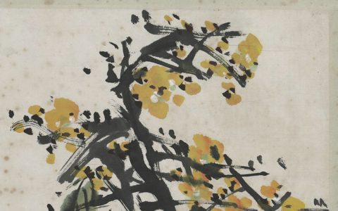 手机号码分析：揭秘手机号码中出现天医却赚不到钱的数组。