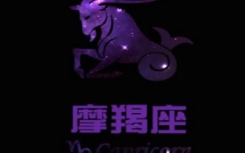 欧洲权威摩羯座分析