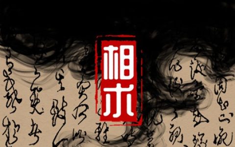 手掌的财运线正确图解 手中有井字纹