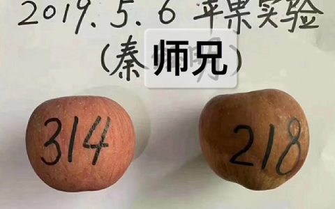 数字能量磁场有多么神奇？简单的水果实验告诉你！