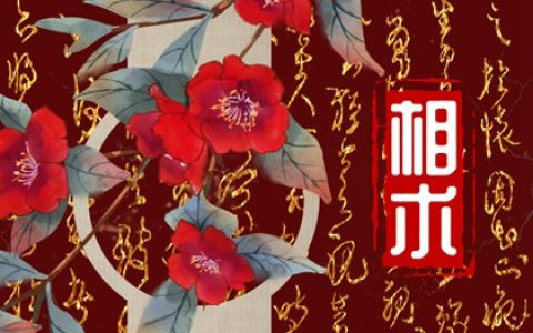 手上九个斗一个簸箕是什么命 富贵花开家业均安