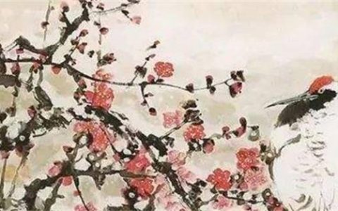 手机数字能量391生气延年 数字能量学的延年是什么意思