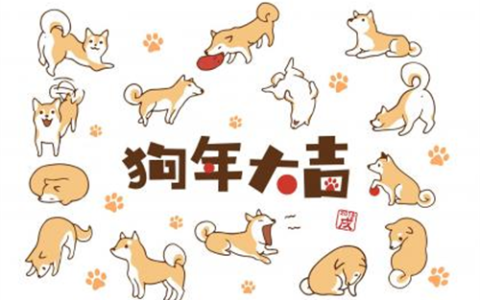 生肖狗2024运势及运程详解 属狗人2024年农历每月运程