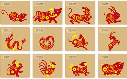 母子生肖相冲如何化解