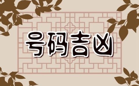 手机号中有三组生气  吉祥好记的手机号码