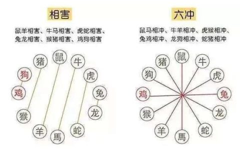 生肖相冲真的不能在一起吗