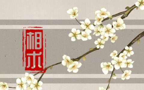 麻衣神相女人痣　女人印堂有痣富贵满堂　