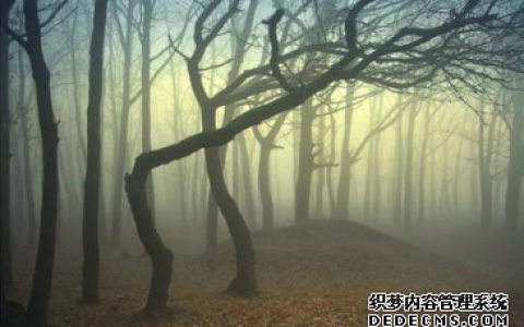 恶梦看你的心理弱点