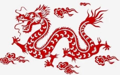 属龙的最佳婚配属相