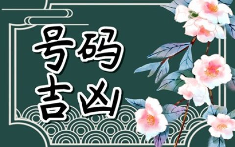 手机号禍害加延年的数字能量&nbsp;&nbsp;手机号吉祥数字组合