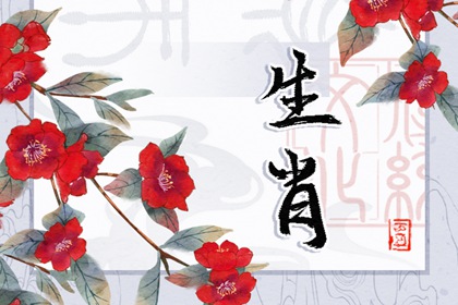 智商情商都高的生肖男 情商智商双高的生肖男