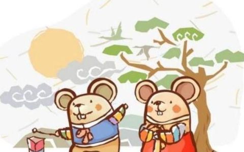 属鼠的最佳婚配属相