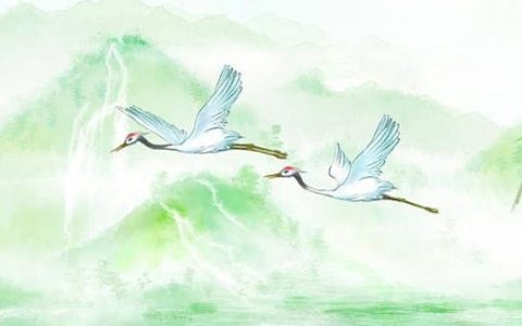 手机数字能量伏位为何没有55 正财旺运的手机号码