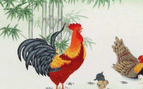 属鸡和什么属相最配