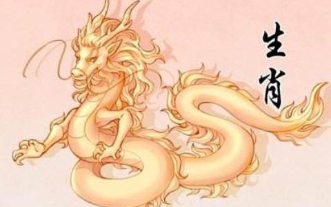 属龙和什么属相最配
