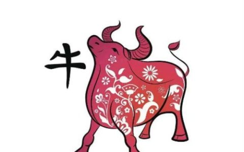 属牛和什么属相最配