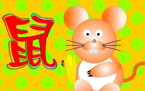 属鼠和什么属相最配