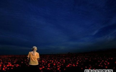 大半夜你会遇见鬼吗