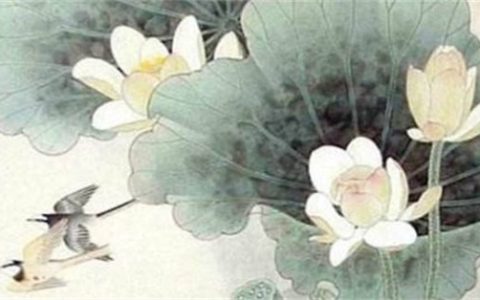 怎么选手机号码旺自己绝命数 怎样选择手机吉祥号码