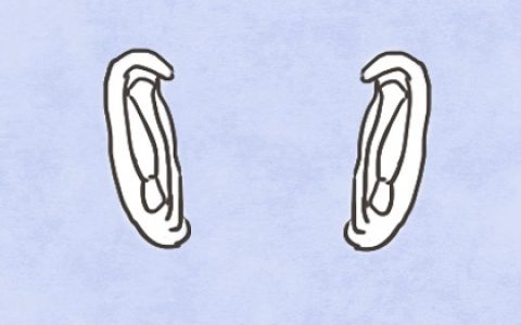 女人上半身痣相 下巴有痣财富一生伴随