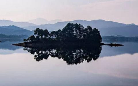 手机号延年加延年组合能量分析 最新大吉转运的手机号