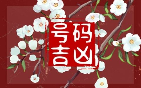 手机号码五鬼是什么意思  发财圆满的吉祥号码