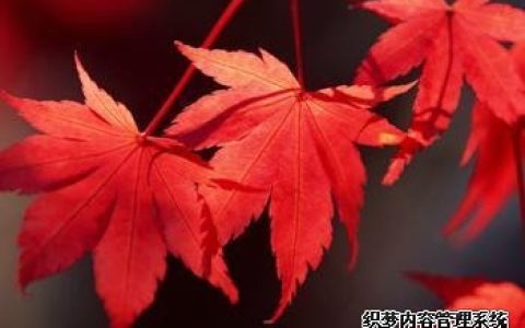 你的自我毁灭程度有多高