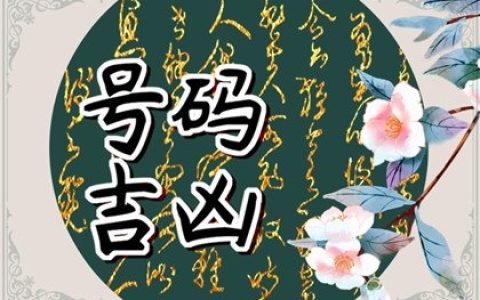 手机号码绝命加五鬼的组合有哪些?盘点女性走运的必备号码!
