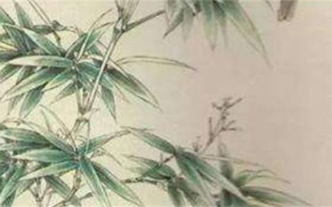延年91和19的区别 手机号码选91好还是19号