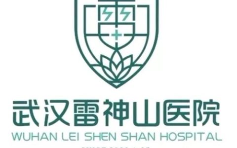 火神山雷神山logo解读，充满易经智慧！
