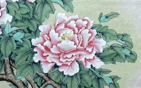 数字能量手机号码查询表 数字能量号码中的延年星