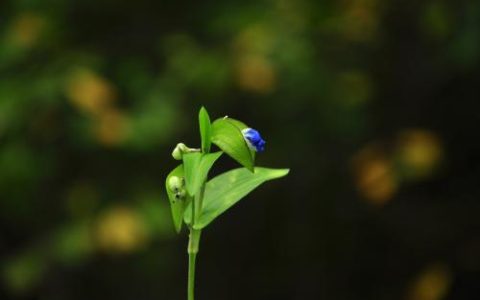 破财风水要注意 家里出现这种情况会破财