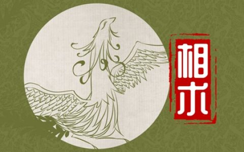 痣相侧脸女人脸部痣相图解