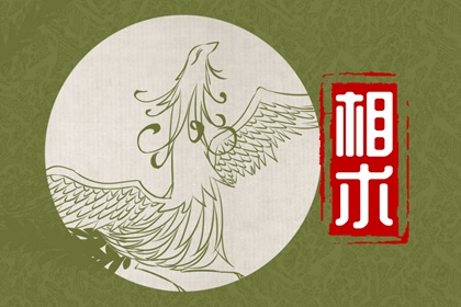 痣相侧脸女人脸部痣相图解