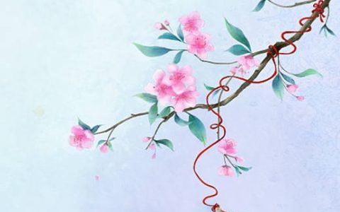絕命加五鬼能量怎么化解 转运聚财的手机尾数
