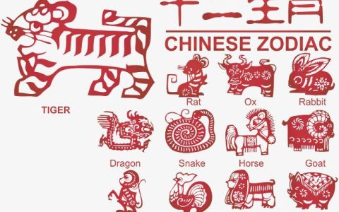 生肖按阴历还是阳历算？
