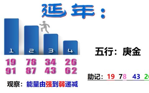延年磁场-延年数组特点-延年数字