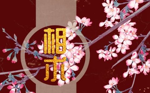女人小腹上有痣相 也是饱腹痣