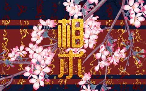 女人鼻子有痣相什么意思 旺夫