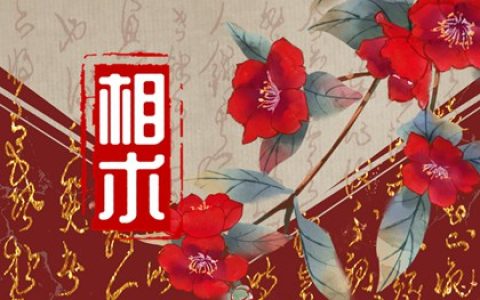 女人手指痣相测命图解大全