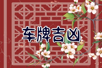 车牌号的数字含义大全 吉祥的车牌号码数字组合